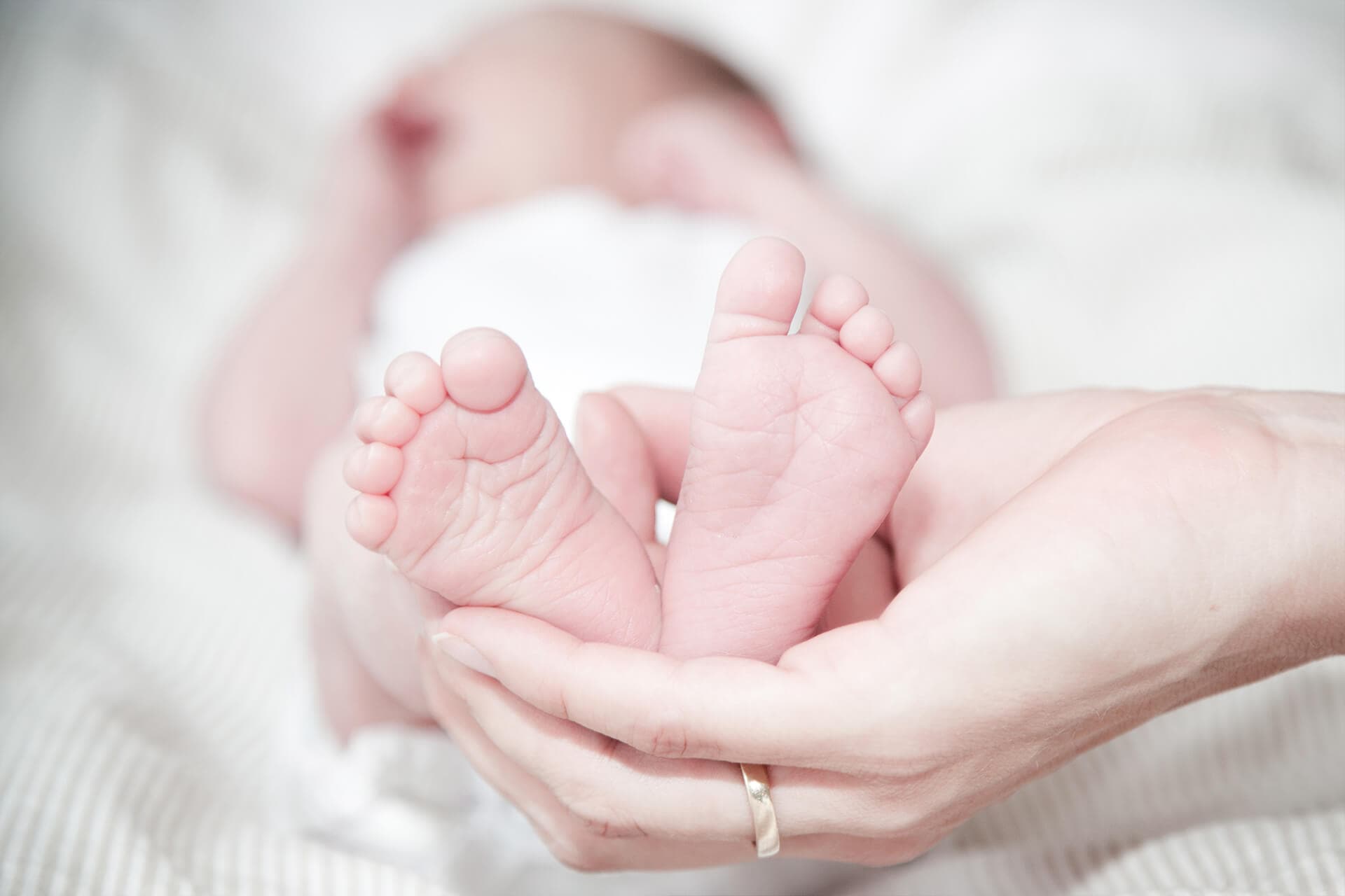 3 Tips in Choosing the Best Newborn Photographer — What to Know